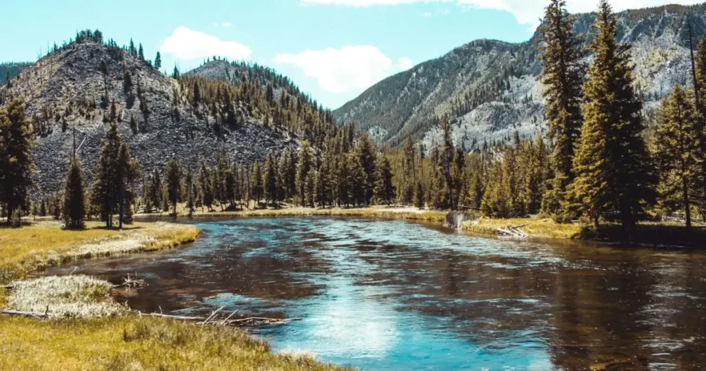 Yellowstone National Park